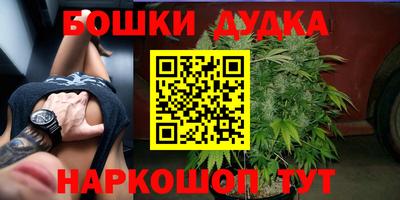 таблы Кингисепп