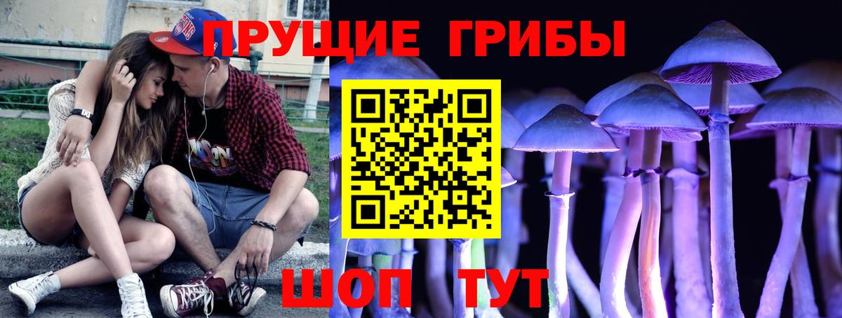 Галлюциногенные грибы Cubensis Гай